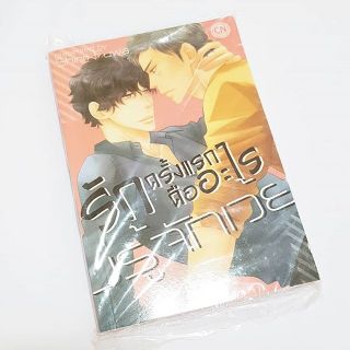 yaoi หนังสือการ์ตูนวายมือ1