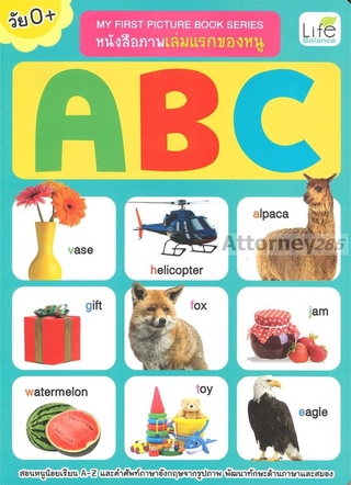 My First Picture Book Series หนังสือภาพเล่มแรกของหนู ABC