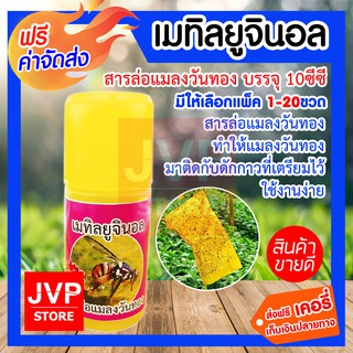 **ส่งฟรี**เมทิลยูจินอล บรรจุ 10ซีซี สารล่อแมลงวันทอง (Insect Lure) สารล่อแมลงวันทอง ทำให้แมลงวันทองมาติดกับดักกาว