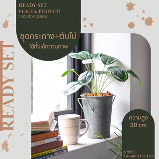 Breezy Set-Calathea ต้นคาลาเทีย ชุด เซ็ทพร้อมโชว์ ของตกแต่งบ้าน สุดคุ้ม แจกันสังกะสี พร้อม ต้นไม้ประดิษฐ์ ราคาต่อ 1 ชุด