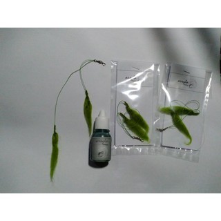Paket 2pcs lumut tiruan 2 kail plus Essen