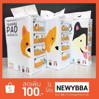 🐕พร้อมส่ง📌แผ่นฝึกขับถ่าย รุ่นมีเทปกาว Hajiko Taining Pad รุ่นมีเทปกาว