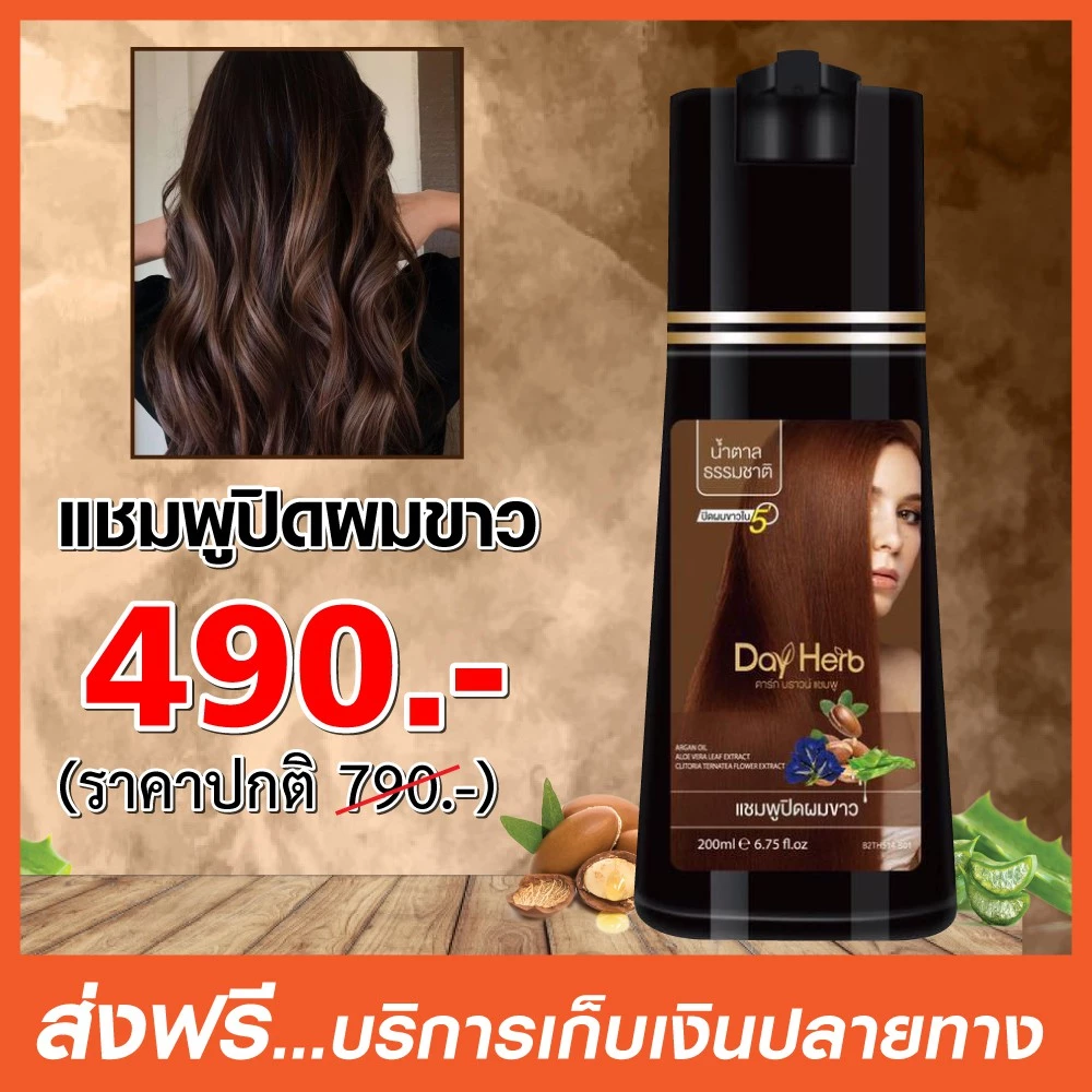 DayHerb  แชมพู ปิดผมขาว สมุนไพร ปิดหงอก ลดหงอก ใน 5 นาที thumbnail 7