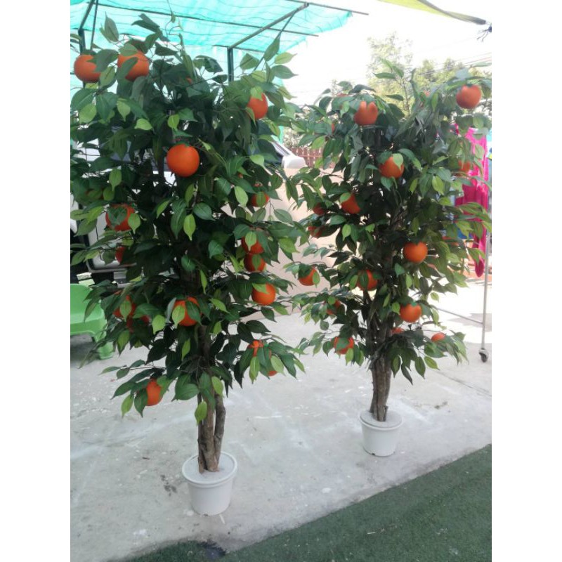 ต้นส้มปลอมไม้ประดิษฐ์เกรดเอทรงอิสระ