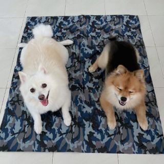 Pet cool mat ที่นอนเจลเย็น ที่นอนสุนัข แผ่นรองนอน ลายพราง