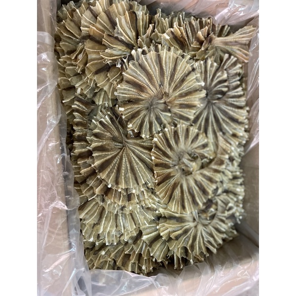 ปลาวงพิเศษตากแห้งสะอาดอร่อยไม่เค็มมาก ปลาวงจืด แพ็คขนาด250กรัม500กรัม