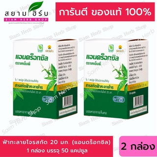 แพ็คคู่ 2 กล่อง Androxil แอนดร็อกซิล ดอยคำ  ฟ้าทะลายโจรสกัด 20 มก. 50 Cap (1 กล่อง : 50 แคปซูล)