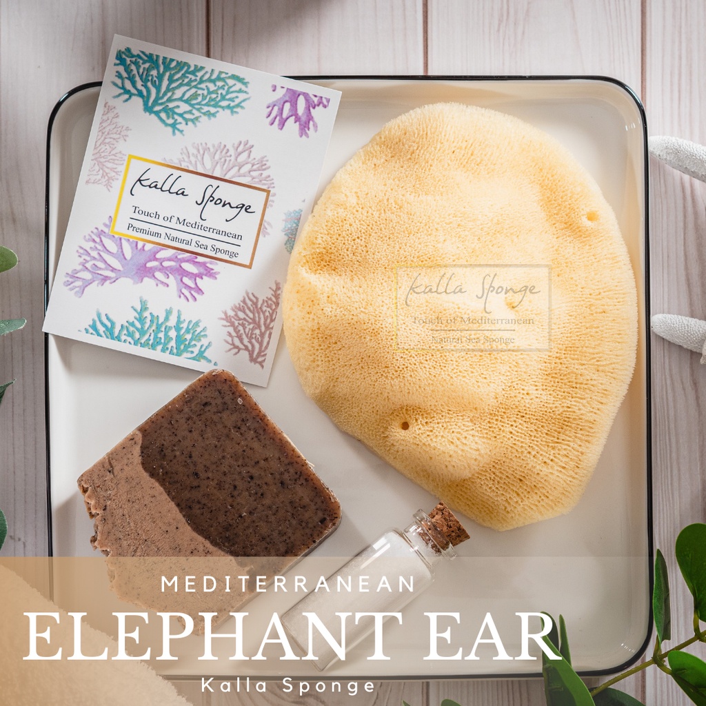 ฟองน้ำธรรมชาติ KALLA SPONGE ชนิด Elephant Ear สีเหลือง ฟองน้ำ สำหรับล้างหน้าและอาบน้ำ เด็กและทารก
