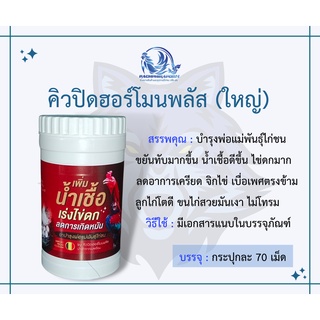 คิวปิดฮอร์โมนพลัส บำรุงพ่อแม่พันธุ์ไก่ชน [สินค้าพร้อมส่ง ใช้โค้ดส่วนลดได้]