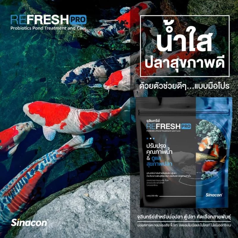 🥄ฟรีช้อนตวง‼️จุลินทรีย์ REFRESH PRO & BB Clear & 6NATURE จุลินทรีย์บำบัดน้ำ ปรับปรุงคุณภาพน้ำ และ ดูแลสุขภาพปลา