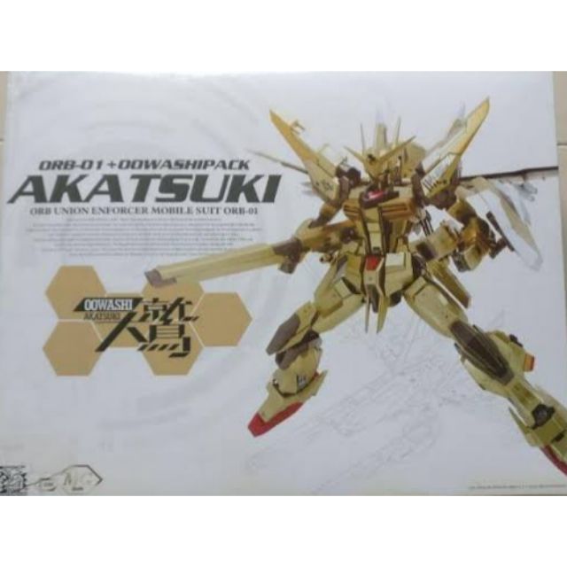 MG 1/100 AKATSUKI DRAGON MOMOKO