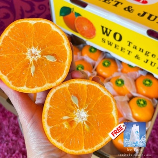 ส้มแมนดาริน ไต้หวัน Mandarin Orange TAIWAN (1ลูก/ไซส์XL) (นำเข้า)+++ แถม FREE ถุงน้ําแข็งเก็บความเย็น +++ ส้มไต้หวัน ตรา