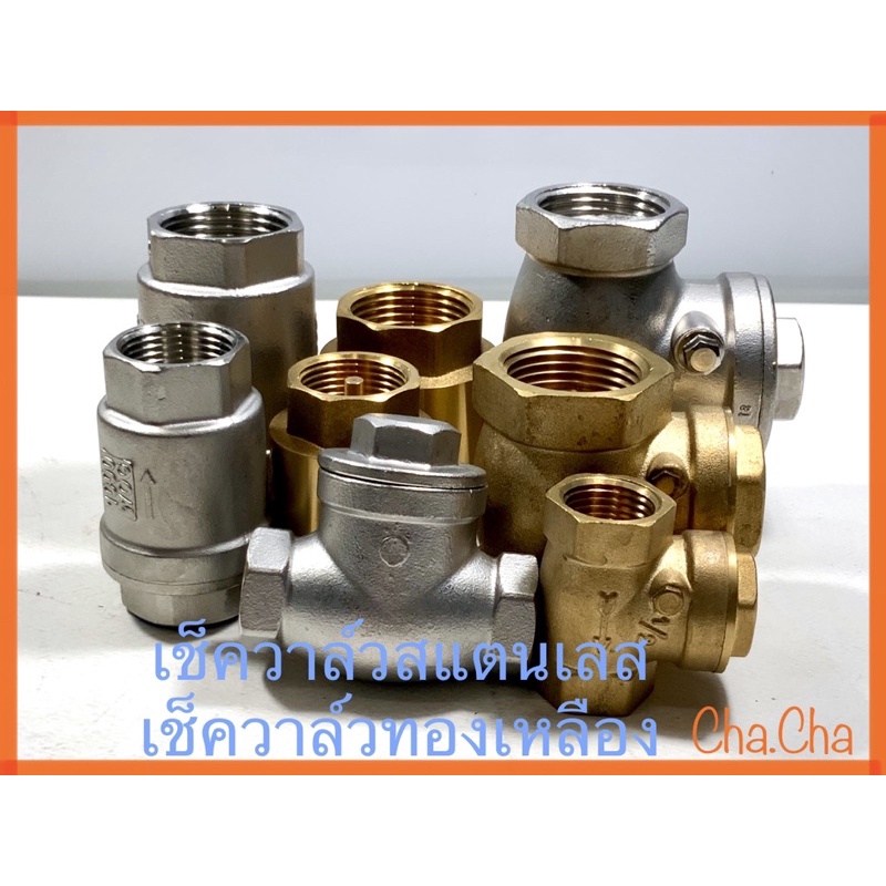 เช็ควาล์วสปริง เช็ควาล์วสแตนเลส ขนาด1/2(4หุน)-1”(หนึ่งนิ้ว)