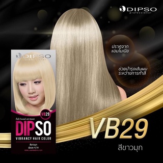 สีย้อมผม DIPSO  ดิ๊ฟโซ่ DEVELOPER 9% สีสวย ติดทน