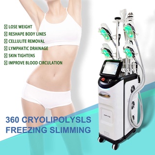 9 in 1 Multifunctional Freezing Slimming Shaper 360 Fat Freezer Vacuum RF Weight Loss Machine TDZL