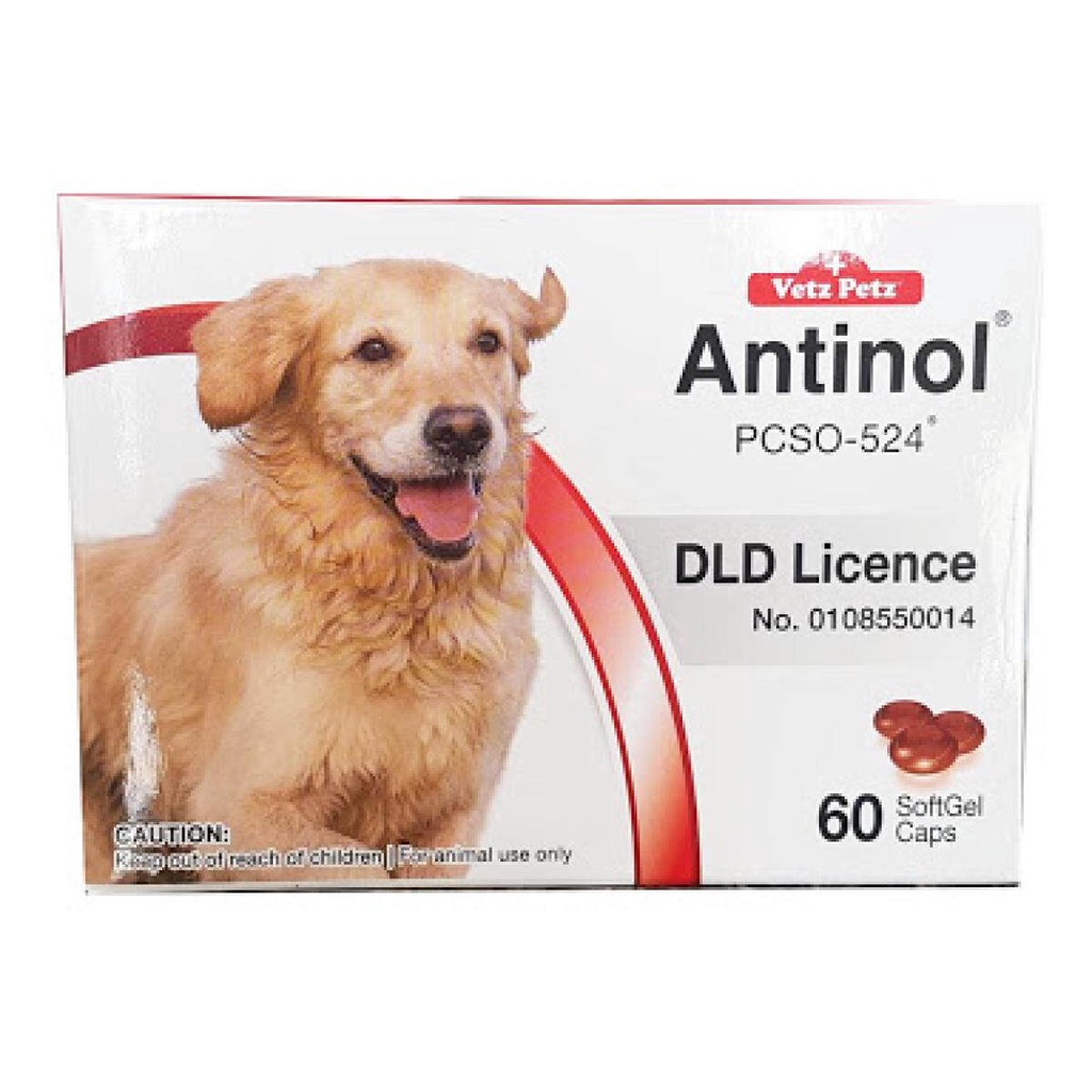 Antinol ช่วยบำรุงข้อ ข้ออักเสบ (1 กล่อง 60 caps) สำหรับสุนัข