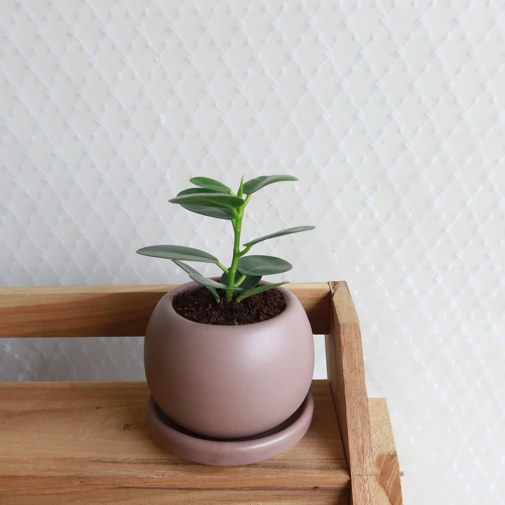 มุมมอง 2