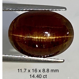 14.40 ct ตาแมว อะพาไทต์  แท้ ธรรมชาติ Natural Apatite Cats eye Oval Cabochon Loose Gemstone For Fine Jewelry