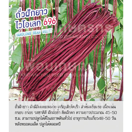 เมล็ดพันธุ์ ถั่วฝักยาว สีม่วง ไวโอเลท - Yard Long Bean Violet ตราดอกแตง เมล็ดพันธุ์ เมล็ดผัก คุณภาพ"เพื่อนเกษตรกร"
