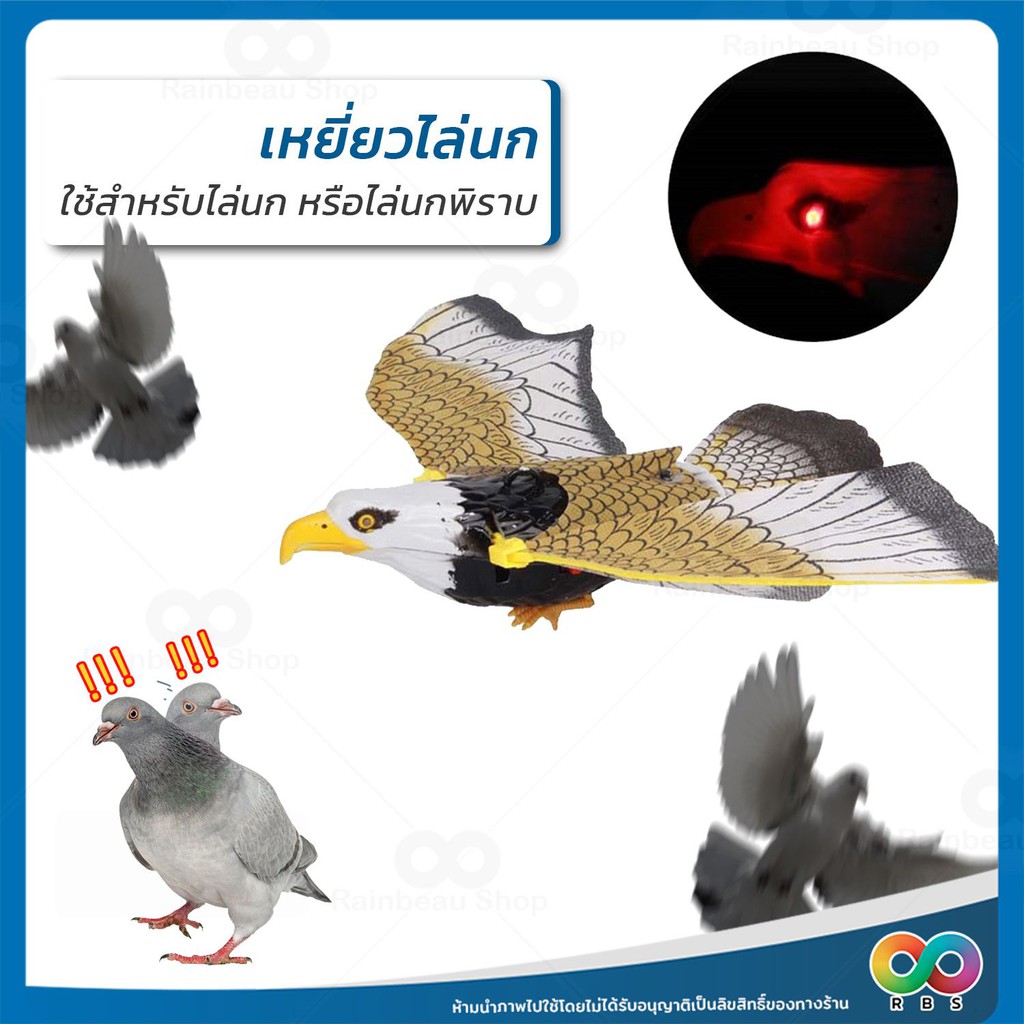 🦅 RAINBEAU 🦅 เหยี่ยวไล่นก ไล่นกพิราบ เหยี่ยวไล่นกมีเสียงขยับได้ มีเสียง ปีกขยับได้  มีไฟที่ตา  ใส่ถ่าน AA*2 (ไม่แถมถ่าน) รูปที่ 8