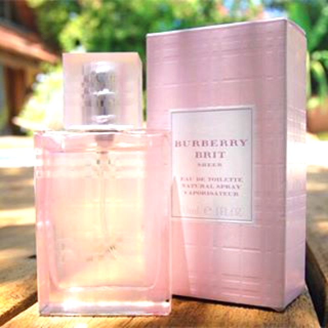 burberry brit sheer pantip