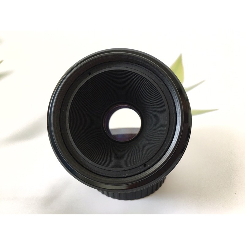 Canon ef 50mm f2 5 compact macro wipanannan thaipick