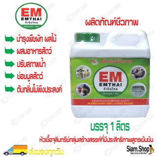 น้ำอีเอ็ม หัวเชื้อจุลินทรีย์ EM EMTHAI (อีเอ็มไทย) จุลินทรีย์กลุ่มสร้างสรรค์สูตรเข้มข้น(บรรจุ 1 ลิตร)