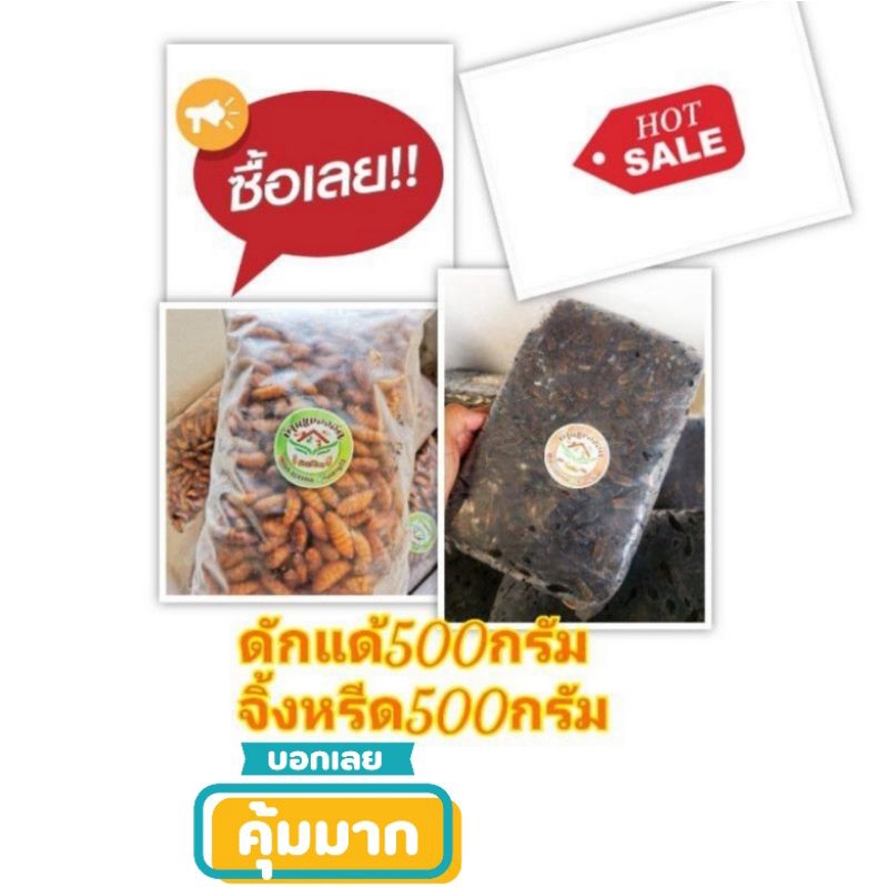 ดักแด้​500กรัมจิ้งหรีด​ไข่500กรัมฟรีแพกกล่องโฟม​