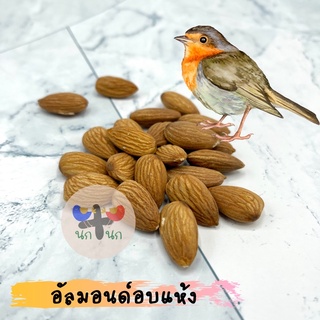 &lt; อัลมอนด์อบแห้ง &gt; อัลมอนด์อบ อัลมอนด์ almond ถั่ว อาหาร นก ฟอฟัส นกแก้ว กระรอก แฮมสเตอร์ ชูการ์ ดอร์เมาส์