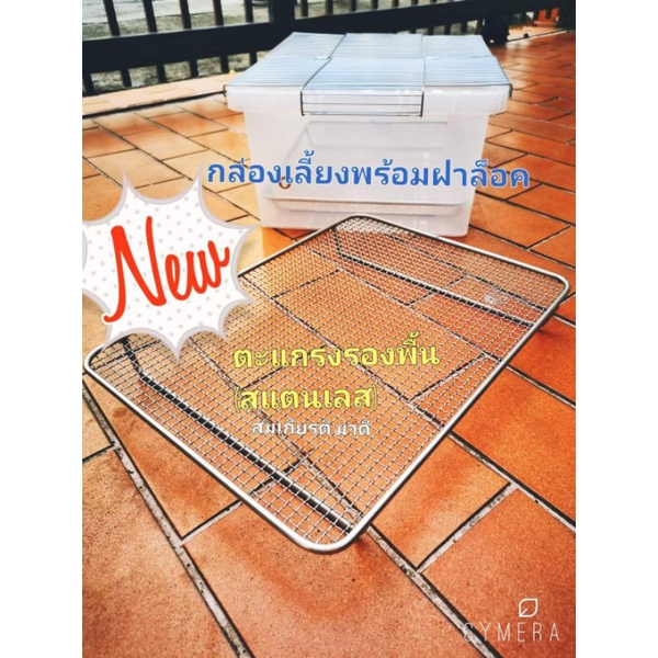 ตะแกรงรองพื้น (สแตนเลส) สำหรับกล่องเลี้ยงลูกกก ลูกป้อน