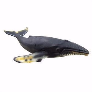 ใหม่ โมเดลฟิกเกอร์ CollectA 88347 HUMPBACK WHALE 21 ซม.