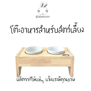 โต๊ะอาหารสัตว์เลี้ยง โต๊ะอาหารแมว รุ่น 2 หลุม