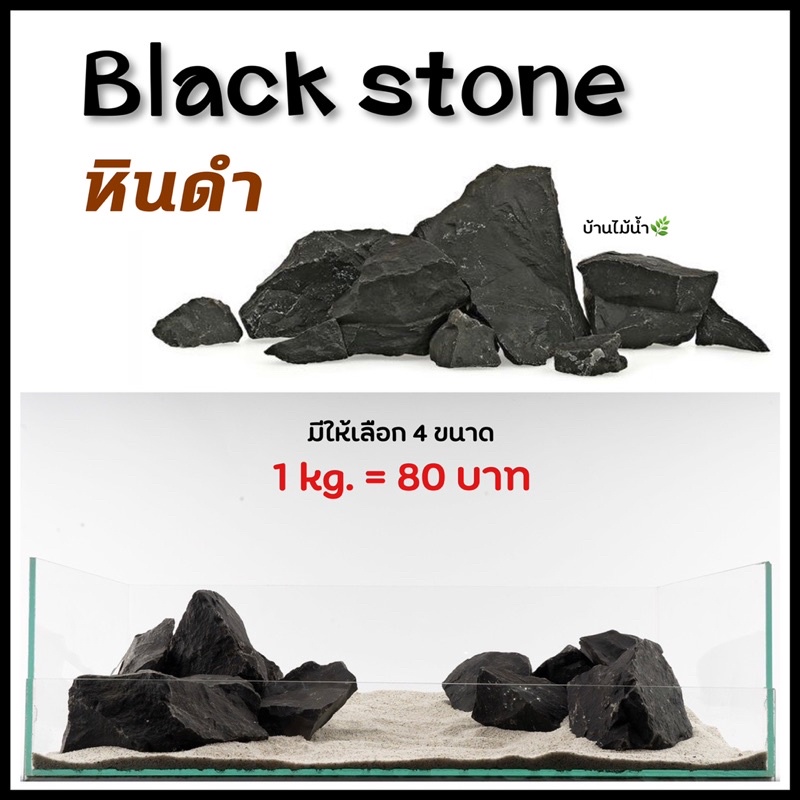 หินดำ Black Stone หินสีดำ หินตกแต่งตู้ไม้น้ำ หินตกแต่งตู้ปลา หินจัดสวน ตู้ปลา ตู้ไม้น้ำ เทอร์ราเรียม | บ้านไม้น้ำ