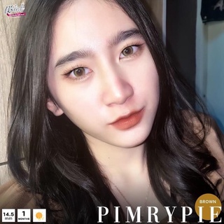 คอนแทคเลนส์🌈Pimrypie🌈 Chestnut / Gray (Wink) ขนาดบิ๊กอาย💖ขายดี🍭