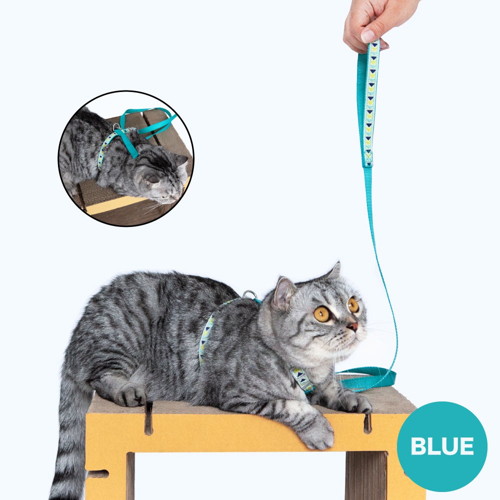 KAFBO สายรัดอกและสายจูงสำหรับแมว cat harness + leash ปลอกคอสำหรับสัตว์เลี้ยง