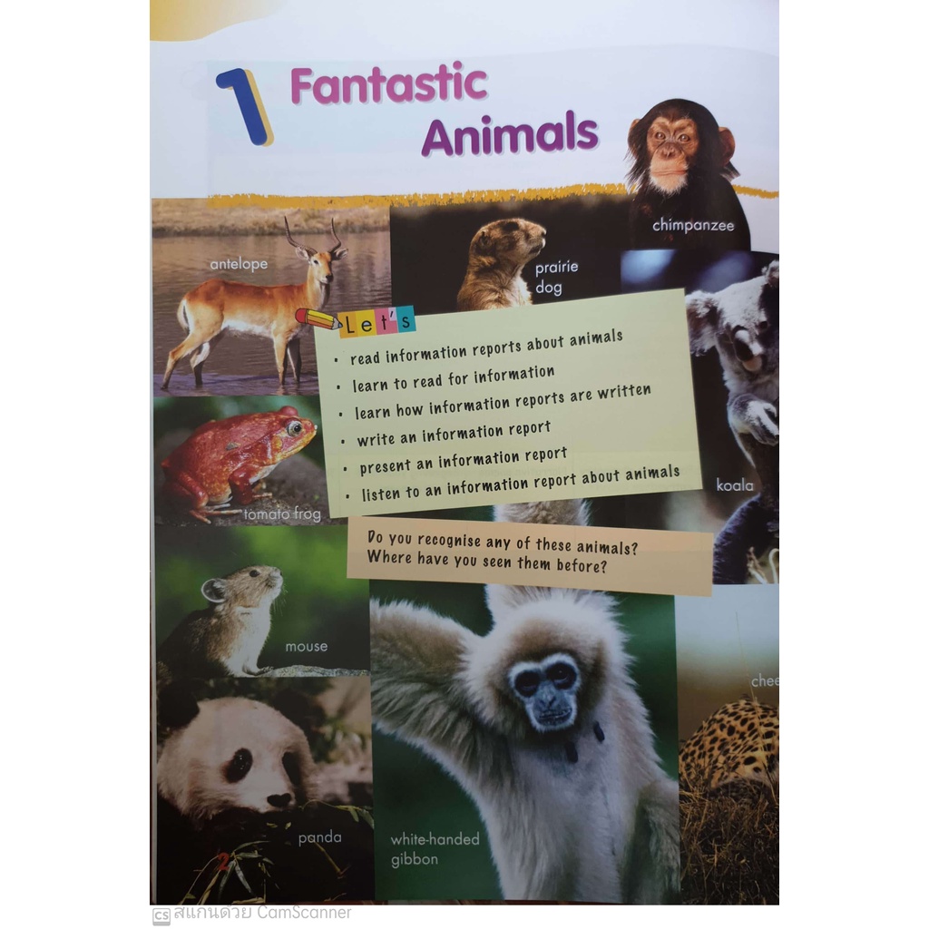 แบบเรียนภาษาอังกฤษ ป.4  MPH English Textbook  4A - รูปที่ 3