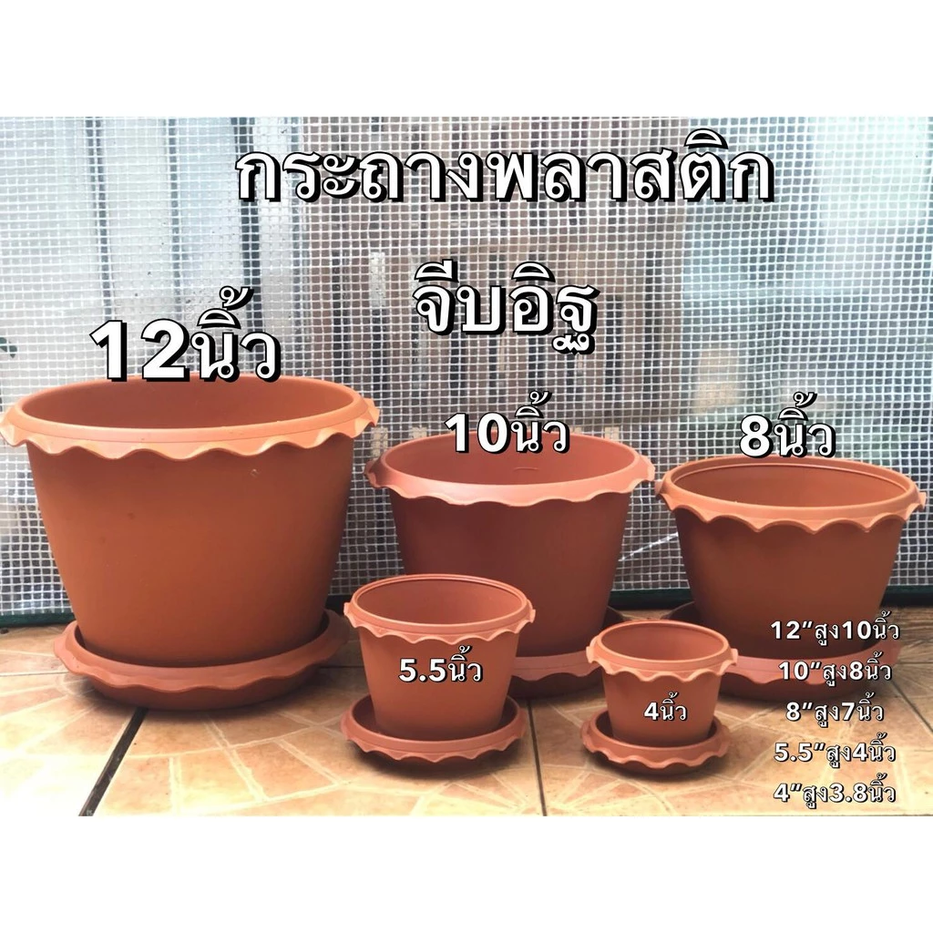 กระถางต้นไม้ สีอิฐ ปากจีบ (พร้อมจานรอง) ขนาด4นิ้ว 5.5นิ้ว 8นิ้ว 10นิ้ว 12นิ้ว