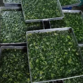 กุยช่ายโอชิน1แพค(น้ำจิ้ม1ซอง) สูตรต้นตำรับกุยช่าย โฮมเมด(พร้อมทอด)