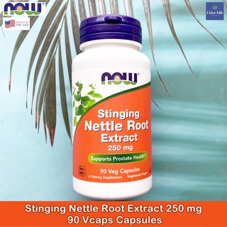 สารสกัดจากรากตำแย Stinging Nettle Root Extract 250 mg 90 Veg Capsules - Now Foods®