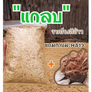 (โค้ด VOTM150 ลด 30% ขั้นต่ำ 0 บาท) แกลบ​ จากโรงสีข้าว​ แถมกาบมะพร้าวแห้งสับ​ Organic จากชุมชนท้องถิ่น