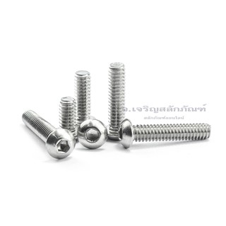 น็อตหัวจมกลมขนาด 1/4" 2 หุน(6.35 mm) แพ็คละ 5 ตัว ยาว 1/2"-1.1/4" สแตนเลส สกรูหัวจมกลมใช้ประแจ L 3/16 ขัน หัวหมวก หัวกลม