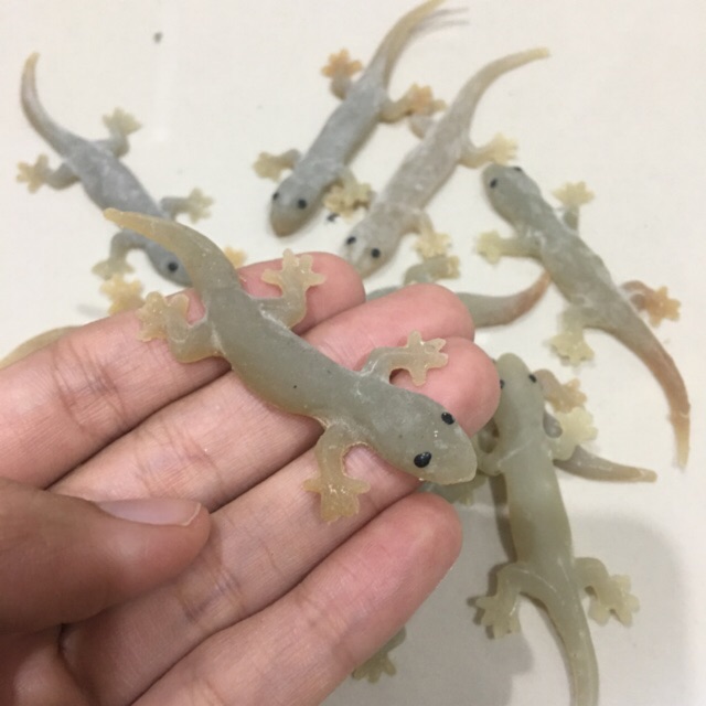 [ลูกค้าใหม่ 1.-] จิ้งจกปลอมแกล้งเพื่อน จิ้งจกตาดำ เหมือนจริงมาก