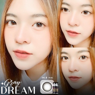 คอนแทคเลนส์🌈Dream🌈 Chestnut / Gray (Wink) ขนาดบิ๊กอาย💖ขายดี🍭