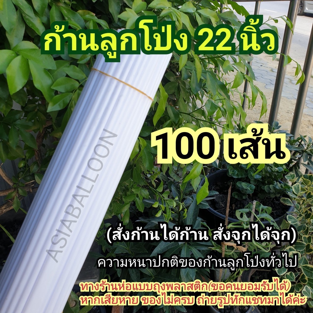 100 เส้น ขาว ก้านลูกโป่ง 22 นิ้ว ความหนาปกติเหมือนก้านลูกโป่งทั่วไป