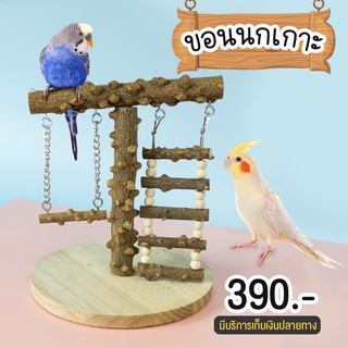 ขอนนกเกาะ 🐥 ขอนไม้ นกแก้ว สำหรับให้นกเกาะ สินค้าพร้อมส่ง