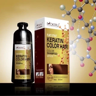 แชมพูปิดผมขาว ปิดหงอก แชมพูสระผม ย้อมสีผมขนาด 500 ml
