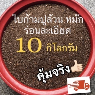 ใบก้ามปูหมัก ร่อนละเอียด ใบก้ามปูแท้ 10 กิโลกรัม