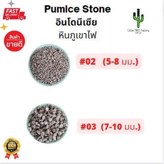 หินภูเขาไฟ Pumice Stone คัดเกรดอย่างดี ใช้โรยหน้ากระถาง ใช้ผสมดินปลูกกระบองเพชร บรรจุ 2 ลิตร