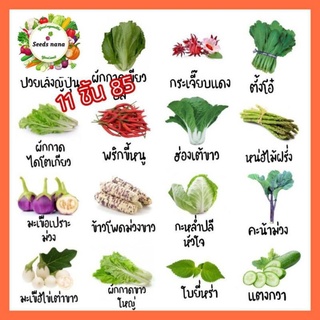 (เมล็ดพันธุ์แท้)ชุดที่4 เมล็ดผัก สวนครัว เมล็ดพันธุ์ คุณภาพ ปลูกได้ทั้งแบบลงดิน ในน้ำ มีคู่มื/อ/อินทรีย์ คละ สวนครัว ดอก