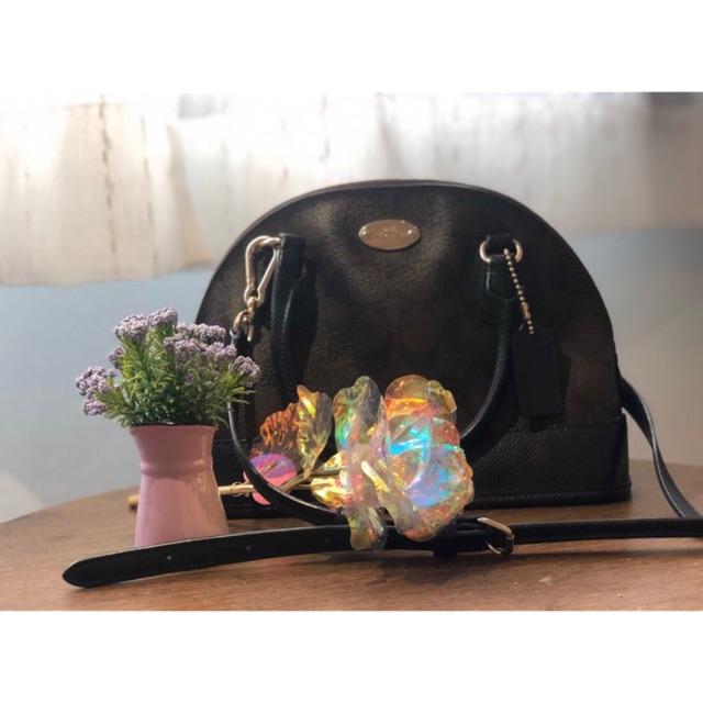 กระเป๋าสะพายข้าง coach mini dome crossbody